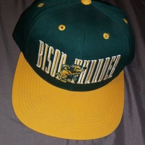 Vintage North Dakota State Bison Thunder Snapback